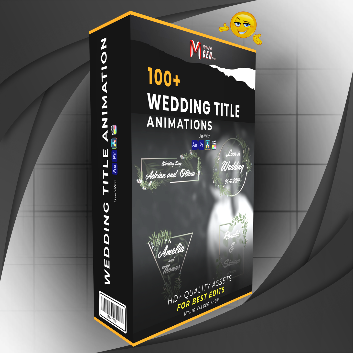 100+ Wedding Title Animations